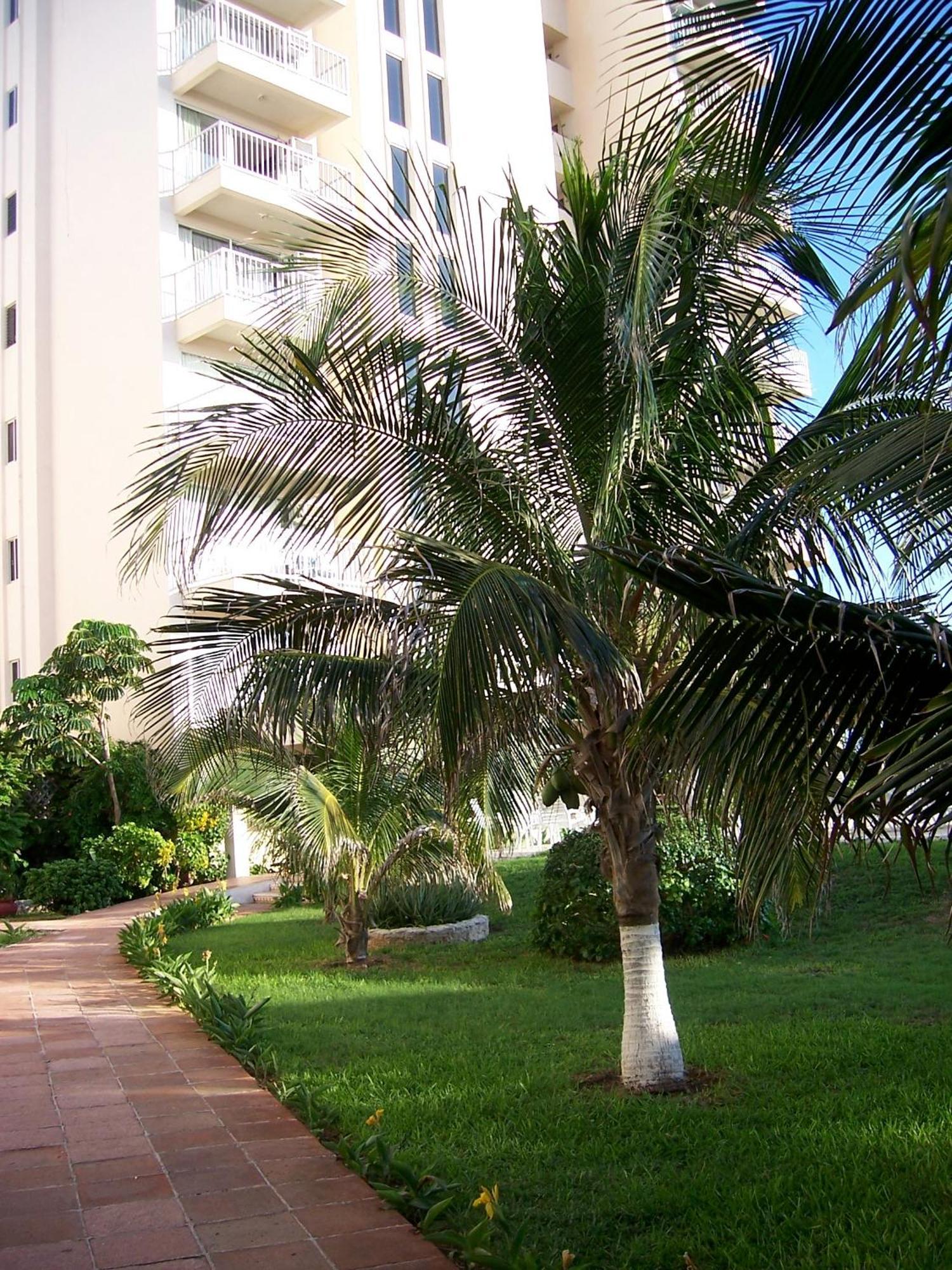 Salvia Cancun Aparts מראה חיצוני תמונה
